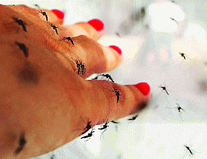 Brieflyspeaking