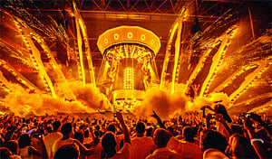 Feel the vibe