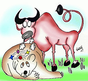 Day 3: Bulls on rampage, wealth barometer at Rs 5.32 lakh cr on global cues
