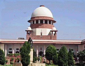 SC seeks reports from states for sterilisation/vaccination of stray dogs