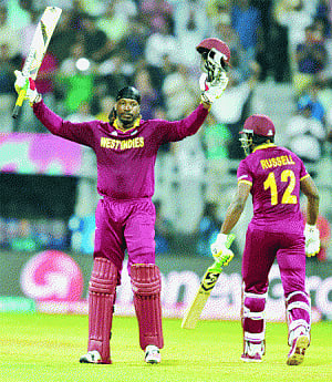 Cent Per Cent Gayle