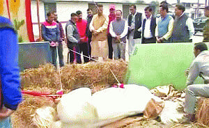 Post amputation, Shaktiman on its last leg?