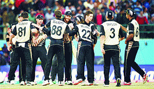 Kiwis are flying