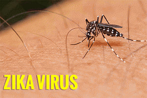 Over 100 US residents infected with Zika virus: Report
