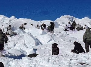 Siachen avalanche: Body of jawan recovered from under snow