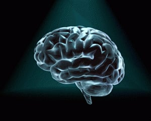 Expectation of relevance key to memory formation