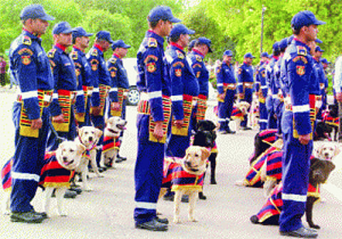 Delhi Police's dog squad gets 30 new members