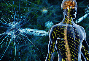 New drug to stop advance of multiple sclerosis