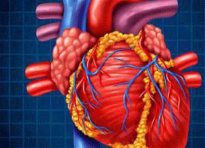 Scientists control heart cells with laser