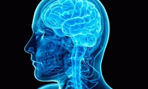 Derailed train of thought? Blame brain's stopping system