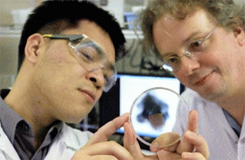 New bubble technology can shoot drugs deep into tumours