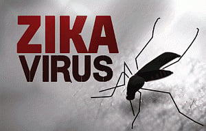 Zika presence in Americas older than previously thought