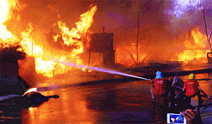 Trees burn, animals die in UP, U'khand fires