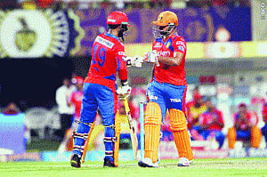 lions roar at Eden