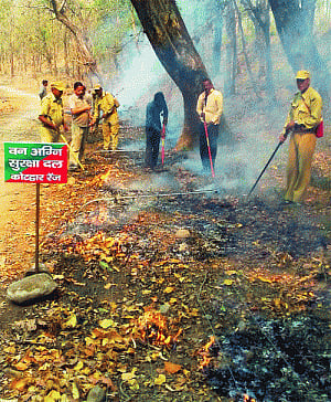 300 avian species feared perished in U'khand fire