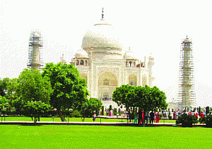 Putrid Yamuna's bugs eating up Taj Mahal