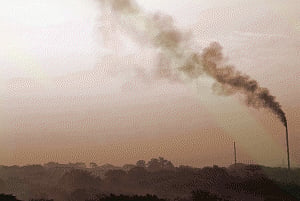 Air pollution may up heart disease risk: study