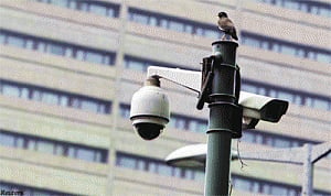 70% CCTV cameras put by Delhi Police defunct