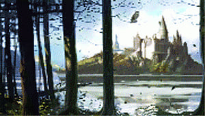 Science of Harry Potter's universe put to test!