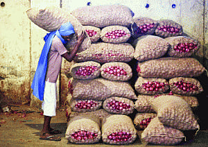 Onion storage to go up by 56,800 tonnes soon