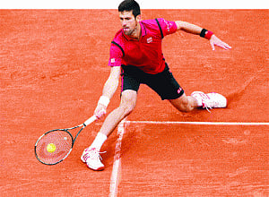 King Nole