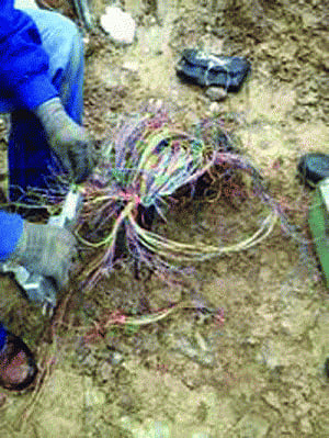 1,200 MTNl landlines dead due to cable theft