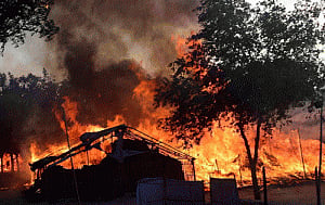 Mathura violence: Sect chief among the dead, says UP police