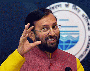 Govt committed to weed out illegal wildlife trade: Javadekar