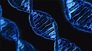 Govt plans to outsource DNA testing