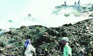 Delhi to dump its rubbish woes at new landfill site