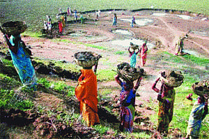 MGNREGA back on track: Govt