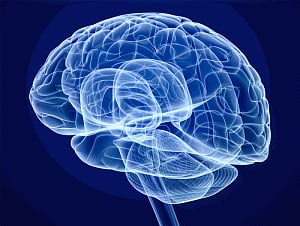 How brain controls our breathing discovered