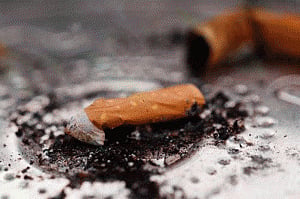 Metals from cigarette butts may pose potential threat to marine life