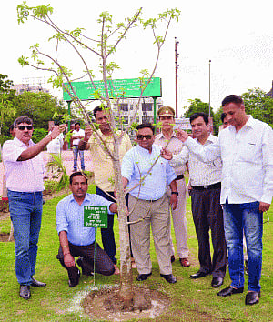Massive tree plantation drive launched in Gzb