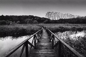 Intimacy in solitude