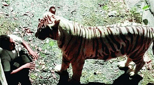 Rs6l to kin of youth mauled by tiger