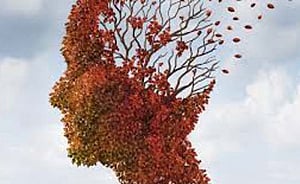 Novel protein acts as research tool for Alzheimer's disease