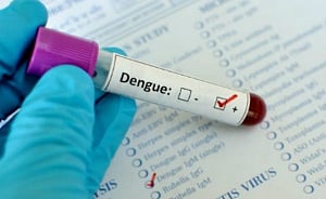 Dengue takes first toll in Delhi, 17-yr-old girl dies