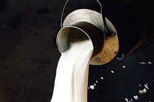 What about 'life' for milk adulterators, asks SC
