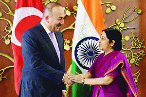 Turkey briefs India on Gulen's role in coup bid