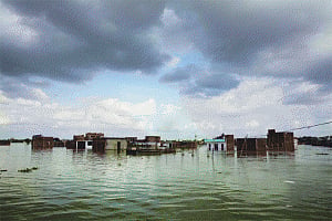 Rainfall dips as forests shrink