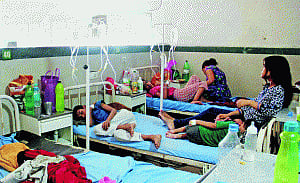 Double killer: Dengue, chikungunya join hands