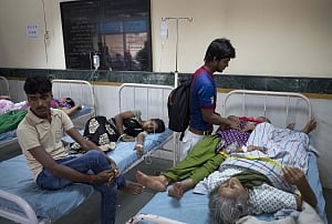 Chikungunya moves Govt: Virus deadly now, officially