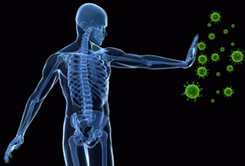 'Boosting immune system may help prevent cancer'