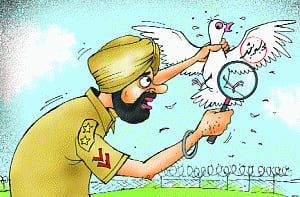Pak 'terror' pigeon in custody!