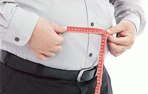Dieting success may depend on brain wiring: study