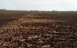States asked to promote agri-equipment to handle crop residue