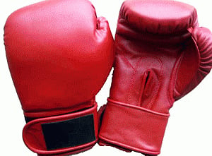 Favourites march into finals of National Boxing Championships