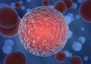 'Fasting may kill cancer cells of common childhood leukaemia'