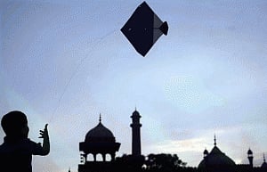 NGT bans glass-coated kite string across country